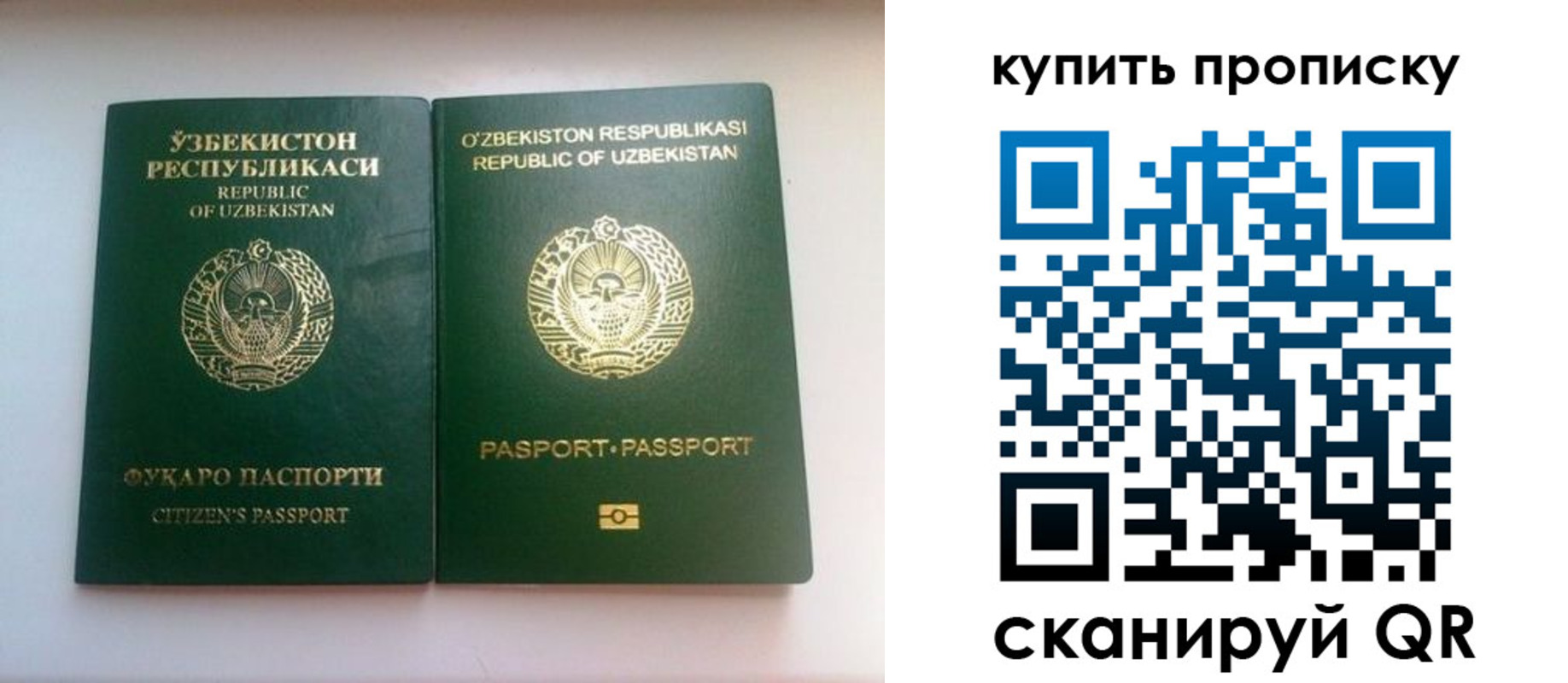 временная прописка в Петропавловске-Камчатском